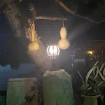 Medusa House Butik Didim