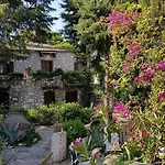 Medusa House Butik Pensiune
