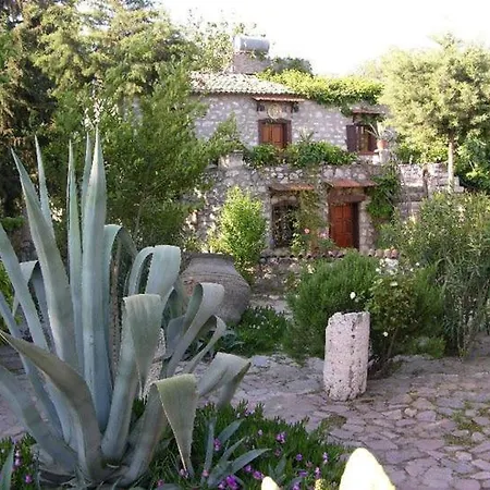 Guest house Medusa House Butik