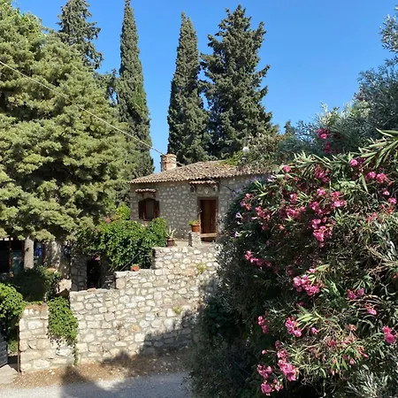 Guest house Medusa House Butik 3*