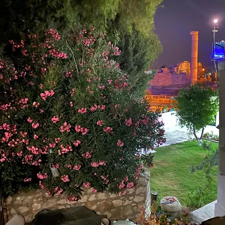 Guest house Medusa House Butik