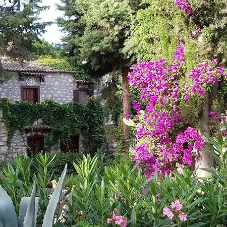 Medusa House Butik Guest house Didim