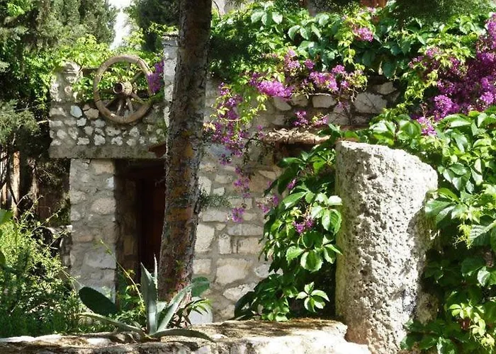 Medusa House Butik Guest house