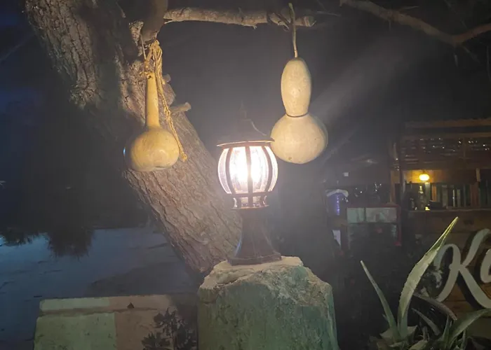 Medusa House Butik Didim