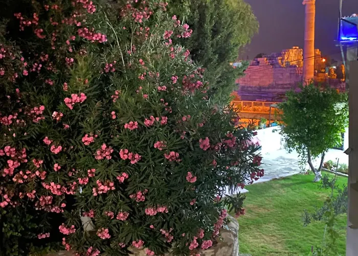 Гостевой дом Medusa House Butik