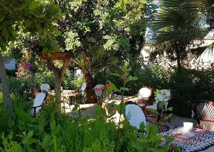 Medusa House Butik Guest house