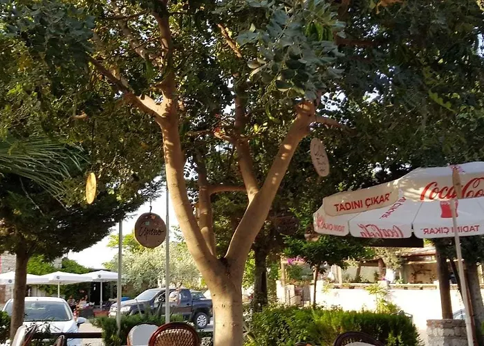 Medusa House Butik Гостевой дом Дидим