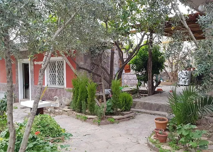 Medusa House Butik Didim