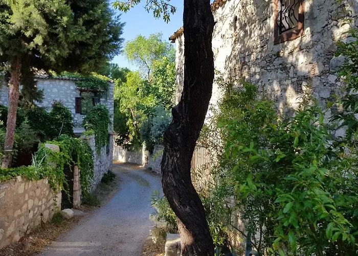 Guest house Medusa House Butik