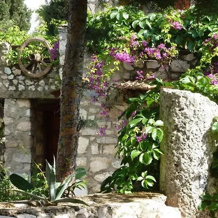 Medusa House Butik Guest house