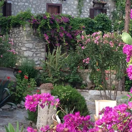 Medusa House Butik 3* Ντιντίμ