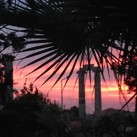 Medusa House Butik 3*