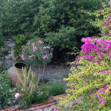 Medusa House Butik Πανσιόν 3*