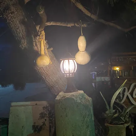 Medusa House Butik Didim