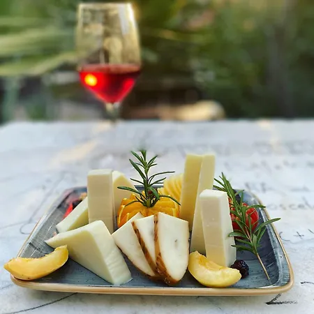 Medusa House Butik Πανσιόν