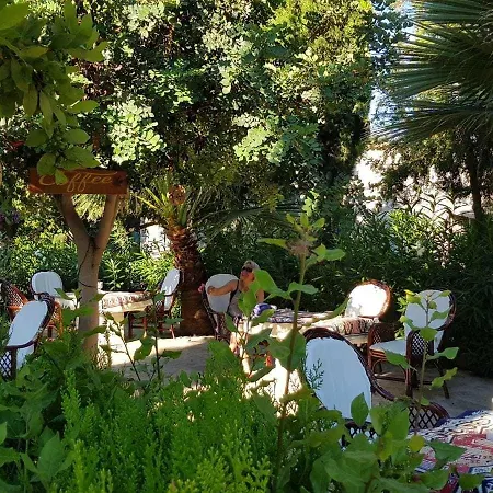 Medusa House Butik Konukevi