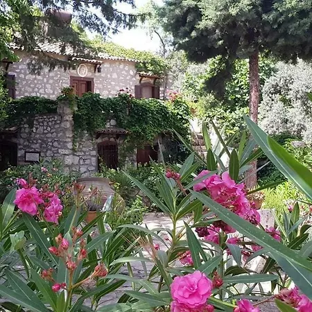 Medusa House Butik Konukevi