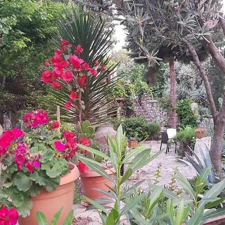 Medusa House Butik 3*