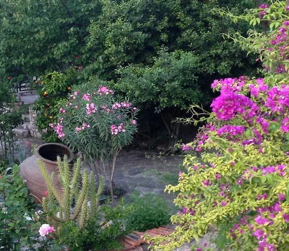 Medusa House Butik Pensionat 3*