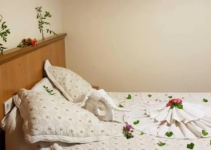 Medusa House Butik Pensjonat Didim