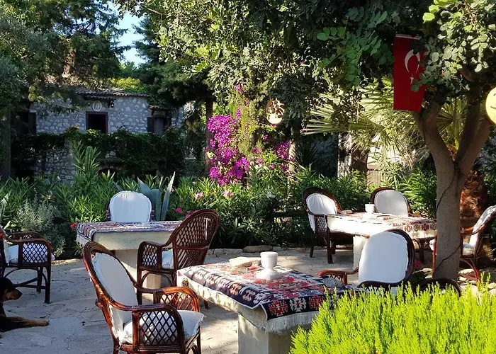 Pensjonat Medusa House Butik Didim