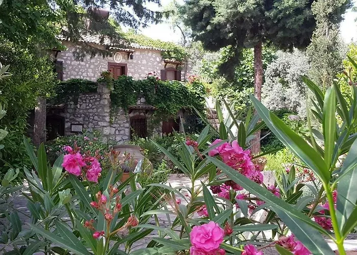 Medusa House Butik Pensjonat