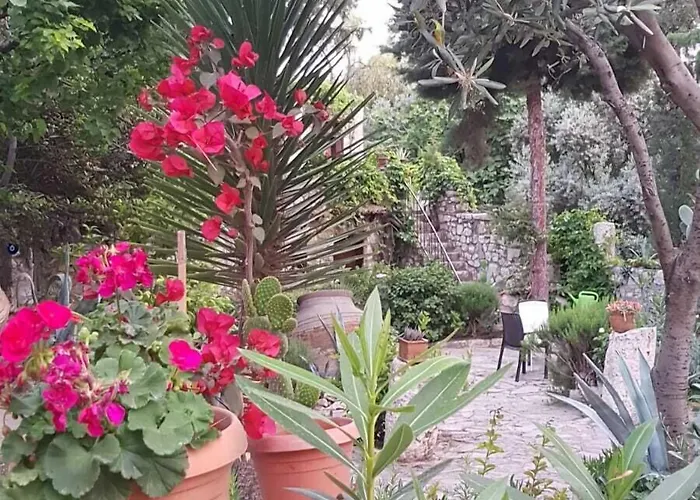 Medusa House Butik 3*