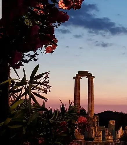 Pensionat Medusa House Butik 3*